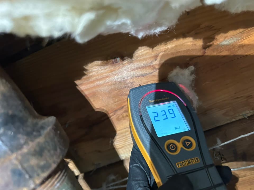 Moisture Pro technician conducting free inspection