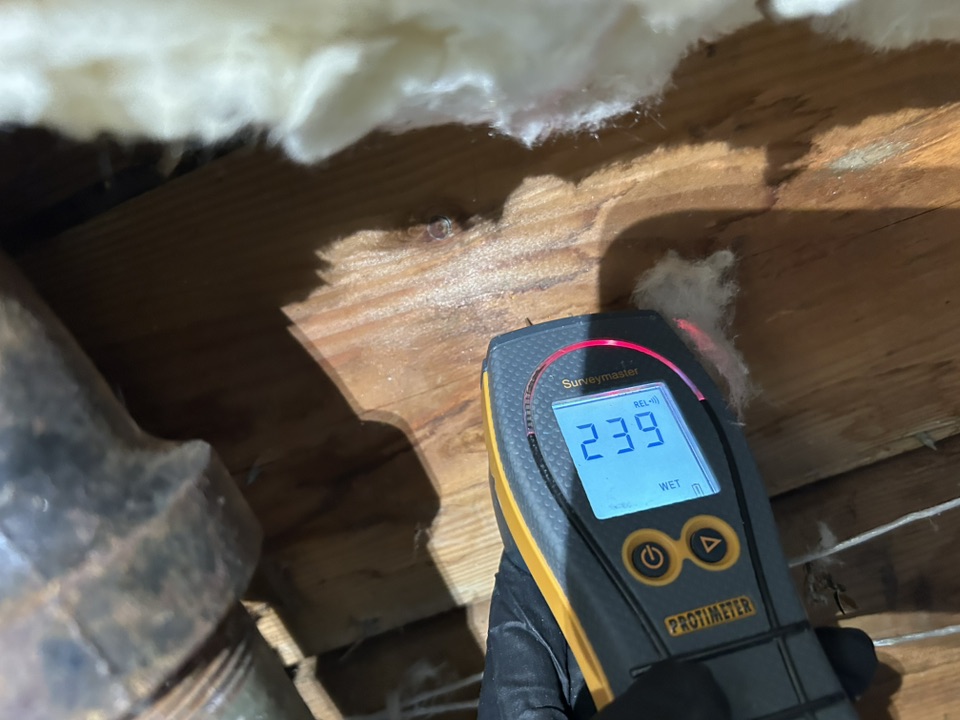 Moisture Pro technician conducting free inspection