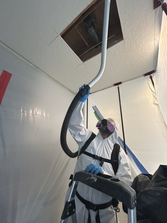 Mold remediation professional inspection