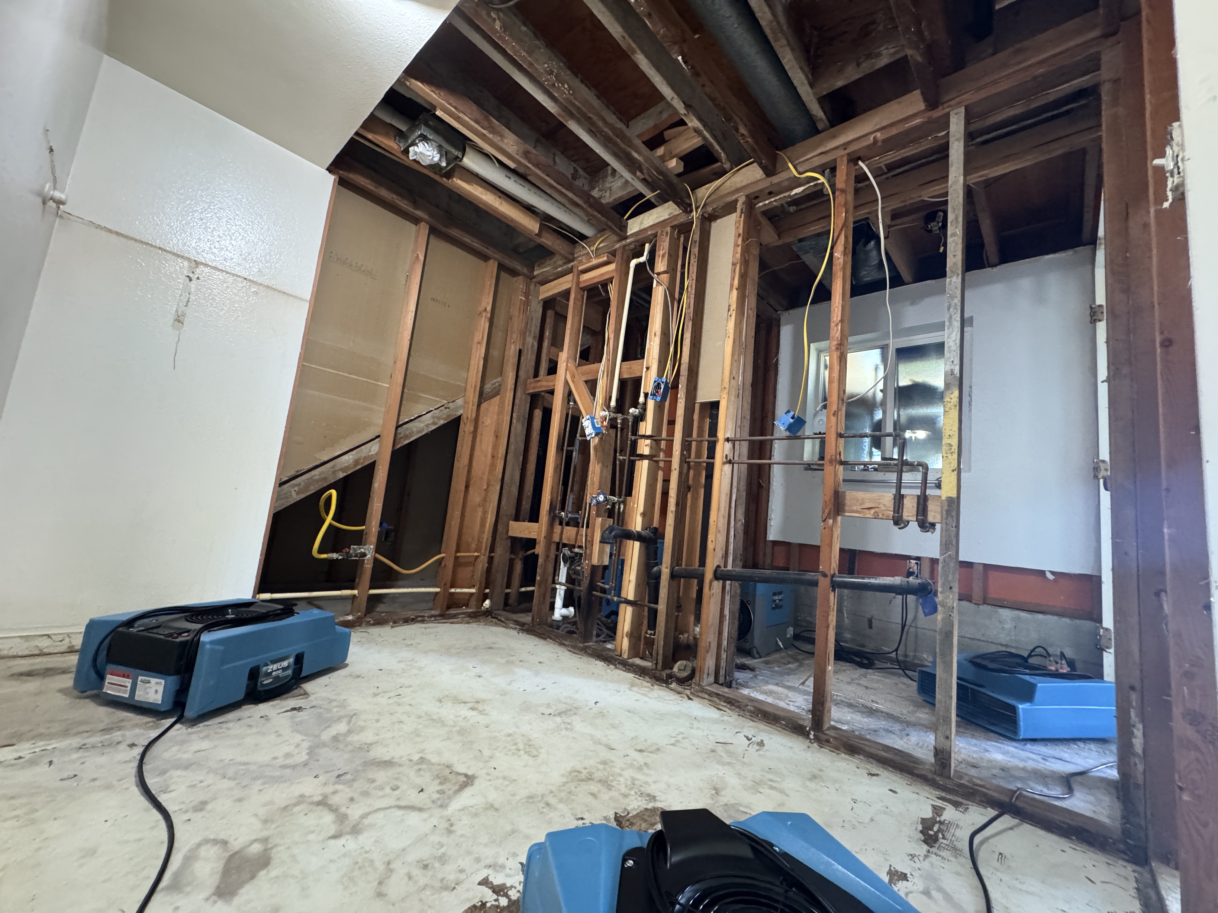 Professional water damage restoration equipment and drying fans in Central Texas