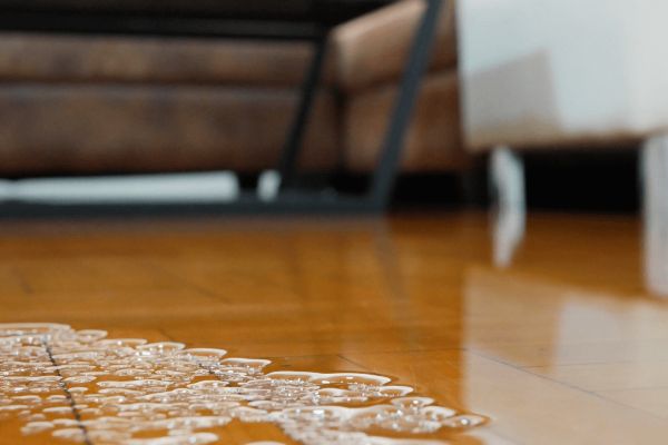 Flood cleanup