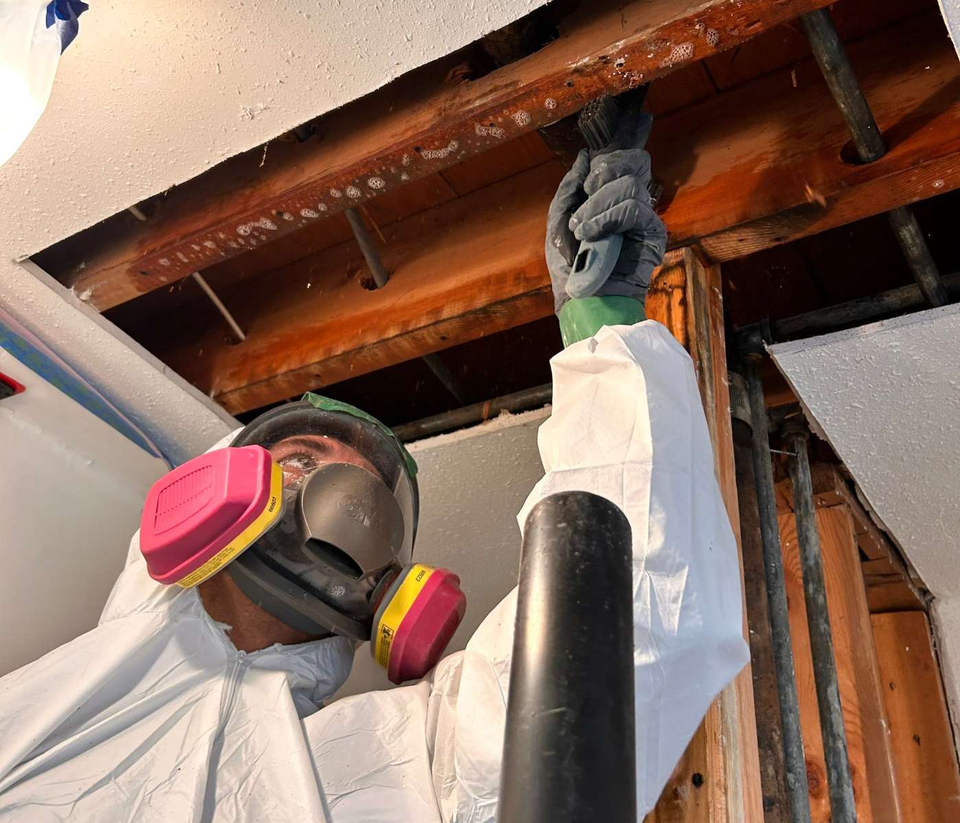 disaster restoration